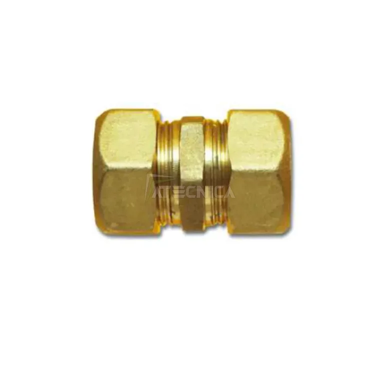 straight-fitting-brass-nipple-sleeve-with-nose-for-compressed-air-22x22-dtni522.webp